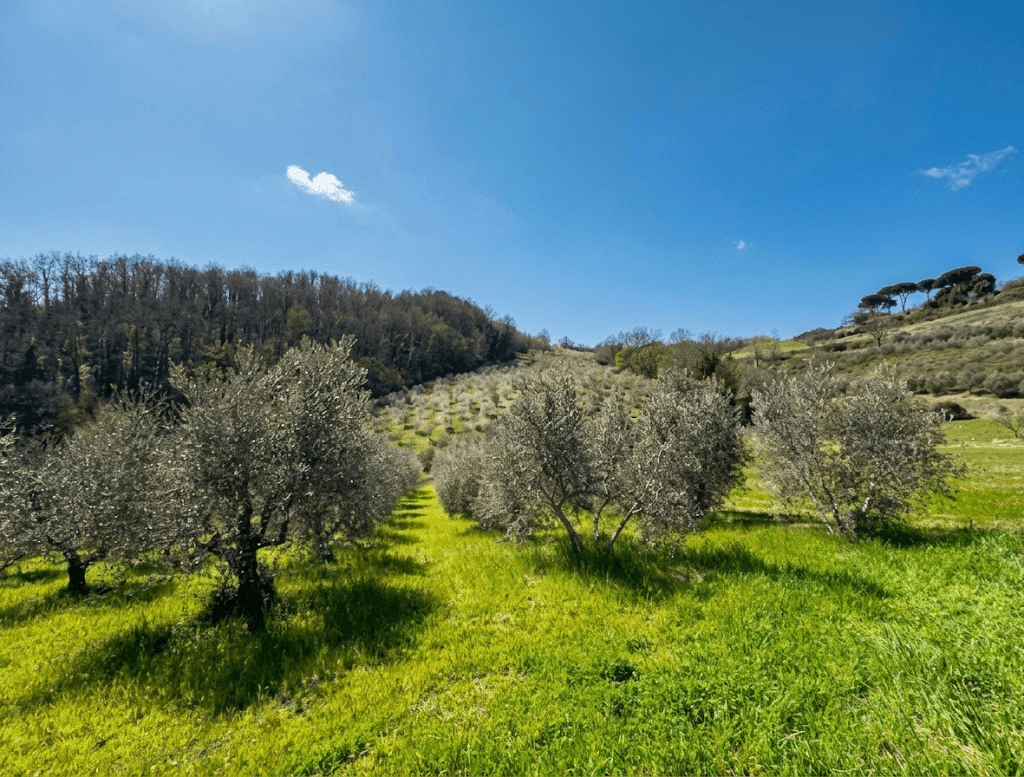 Wellbeing & Relaxation